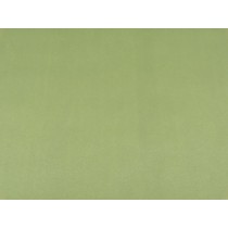 Papel de Parede - Verde Claro - Rolo com 10m x 53cm - LMS-PPY-YS102-6